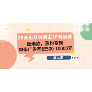 28天小紅書博主IP特訓營《第9期》