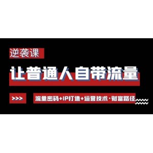 讓普通人自帶流量的逆襲課：流量密碼 IP打造 運(yùn)營(yíng)技術(shù)·財(cái)富路徑