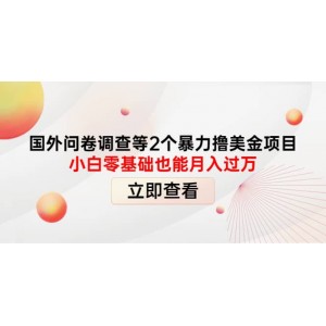 國外問卷調(diào)查等2個暴力擼美元項目，小白零基礎(chǔ)也能月入過萬