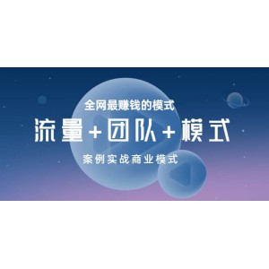 全網(wǎng)最賺錢的模式《流量 團隊 模式》案例實戰(zhàn)商業(yè)模式