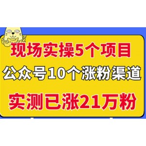 現(xiàn)場(chǎng)實(shí)操5個(gè)公眾號(hào)項(xiàng)目，10個(gè)漲粉渠道，實(shí)測(cè)已漲21萬(wàn)粉！