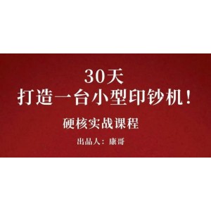 康哥30天打造一臺小型印鈔機：躺賺30萬的項目完整復(fù)盤（視頻教程）