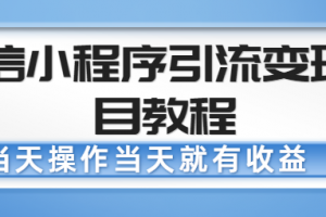 微信小程序引流變現(xiàn)項目教程，當天操作當天就有收益，變現(xiàn)不再是難事