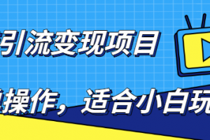 百度引流變現(xiàn)項目，簡單操作，適合小白玩，項目長期可以操作