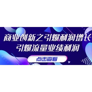 張琦《商業(yè)創(chuàng)新之引爆利潤增長》引爆流量業(yè)績利潤