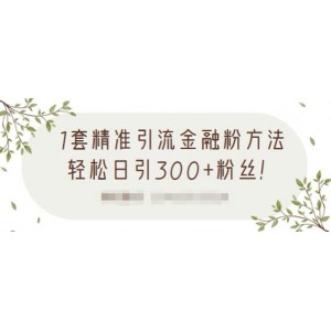 1套精準引流金融粉方法，輕松日引300 粉絲【視頻課程】