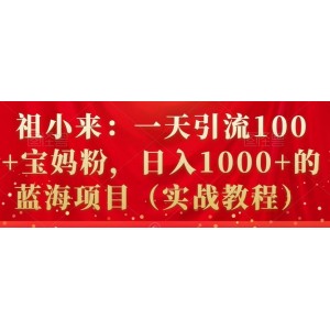 祖小來(lái)：一天引流100 寶媽粉，日入1000 的藍(lán)海項(xiàng)目（實(shí)戰(zhàn)教程）