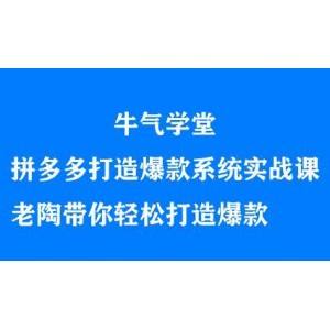 牛氣學堂拼多多打造爆款系統(tǒng)實戰(zhàn)課，老陶帶你輕松打造爆款