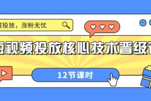 短視頻投放核心技術(shù)晉級課：掌握投放，漲粉無憂（12節(jié)課時）