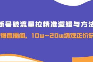 新號破流量拉精準邏輯與方法，引爆直播間，10w-20w場觀正價玩法