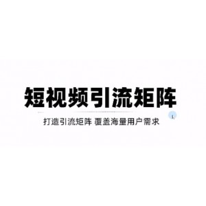 短視頻引流矩陣打造，SEO 二剪裂變，效果超級好！【視頻教程】