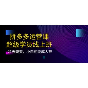 拼多多運(yùn)營課：超級(jí)學(xué)員線上班，21天蛻變，小白也能成大神