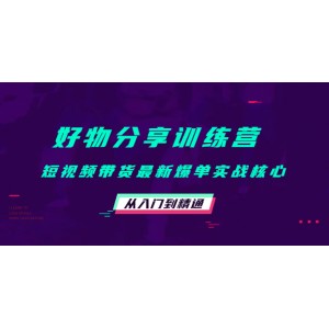 好物分享訓(xùn)練營(yíng)：短視頻帶貨最新爆單實(shí)戰(zhàn)核心，從入門到精通