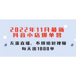 2022年11月最新抖音小店爆單訓練營：無需直播，不用拍短視頻，每天出1000單