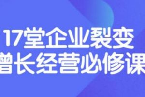 張琦《盈利增長17堂必修課》企業(yè)裂變增長的經(jīng)營智慧，帶你了解增長的本質(zhì)