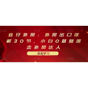 業(yè)仔外貿(mào)：外貿(mào)出口詳解30節(jié)，小白0基礎(chǔ)進(jìn)擊外貿(mào)達(dá)人 價(jià)值666元