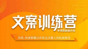 文案訓(xùn)練營專項技能提升班 快速掌握10年職業(yè)文案人的私家絕活