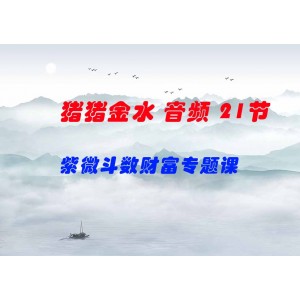 豬豬金水 紫微斗數(shù)財(cái)富專題課 音頻 21節(jié)