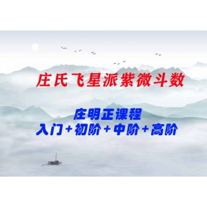 2021莊明正 莊氏飛星派紫微斗數入門票+初階篇+中階篇+高階篇課程