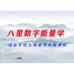 道谷學院馬湛老師八星數(shù)字能量學視頻課程共62集