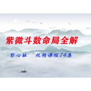 彭心融《紫微斗數(shù)命局全解》視頻課程74集