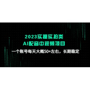 2023實(shí)操實(shí)拍類AI配音中視頻項(xiàng)目