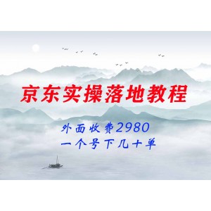 外面收費2980的京東一個號下幾十單實操落地教程