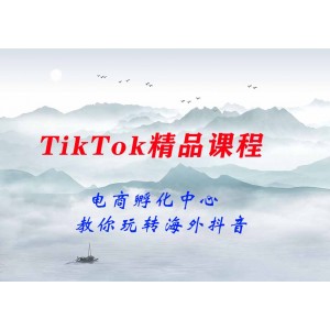 電商孵化中心·TikTok精品課程，教你玩轉(zhuǎn)海外抖音