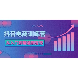 抖音電商訓(xùn)練營：從入門到精通，從賬號定位到流量變現(xiàn)，抖店運營實操