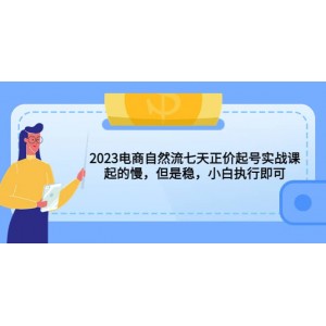 2023電商自然流七天正價起號實戰(zhàn)課：起的慢，但是穩(wěn)，小白執(zhí)行即可