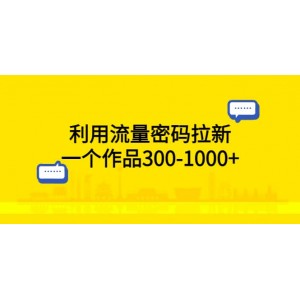 利用流量密碼拉新，一個作品300-1000