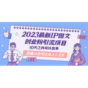 2023最新IP圖文創(chuàng)業(yè)粉引流項(xiàng)目，10天之內(nèi)可以出單 普通小白可以月入1-3萬