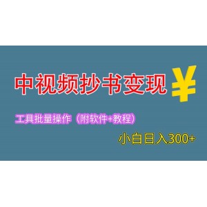 2023中視頻抄書(shū)變現(xiàn)（附工具 教程），一天300 ，特別適合新手操作的副業(yè)