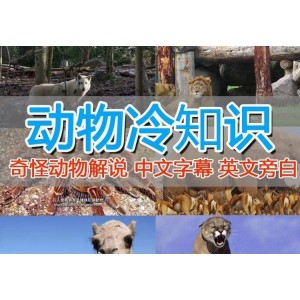 外面賣1699的國外紀錄片解說（動物解說、美食、動畫片）穩(wěn)過中視頻