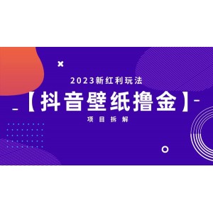 2023新紅利玩法：抖音壁紙擼金項(xiàng)目