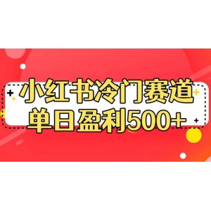 小紅書冷門賽道，單日盈利500 【揭秘】