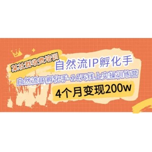 某社群收費培訓：自然流IP 孵化手-14天線上實操訓練營 4個月變現(xiàn)200w