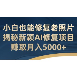 小白也能修復(fù)老照片！揭秘新穎AI修復(fù)項目，賺取月入5000