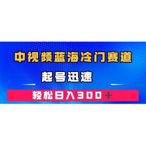 中視頻藍海冷門賽道，韓國視頻奇聞解說，起號迅速，日入300＋