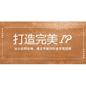 塑造完美IP：從新手到專家，構(gòu)建屬于你的金字塔形象（15節(jié)課程）