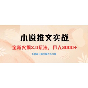 小說推廣軟件，零粉絲也可輕松變現(xiàn)，月入3000元，小白即學(xué)即用，無需付費990元