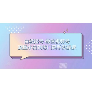 零基礎(chǔ)起號(hào)攻略：微信視頻號(hào)流量小白到熱門高手實(shí)操課