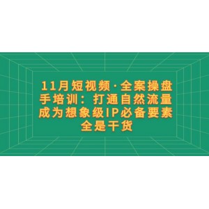 11月短視頻·全案操盤手培訓(xùn)：掌握自然流量秘訣，成為想象級IP的關(guān)鍵要素，全程干貨分享