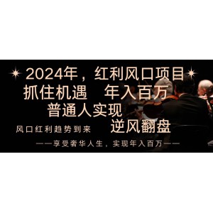 2024紅利風(fēng)口：普通人實(shí)現(xiàn)逆襲之路！抓住第一波紅利，輕松年入百萬(wàn)，讓你逆風(fēng)翻盤，成就財(cái)富人生！