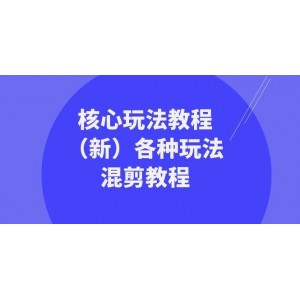 財(cái)富團(tuán)隊(duì)核心玩法教程：全新版本（69節(jié)課）！混剪各種玩法，助您快速掌握財(cái)富密碼，開啟暴富之旅！