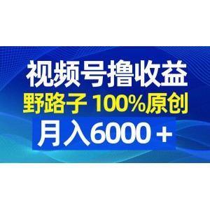 視頻號(hào)野路子擼收益，100%原創(chuàng)，條條爆款，月入6000＋