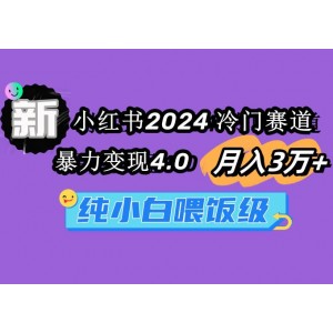 2024年小紅書熱門但少人涉足的賽道：月入3萬+的暴利變現(xiàn)秘訣，純新手也能輕松上手的保姆級教程