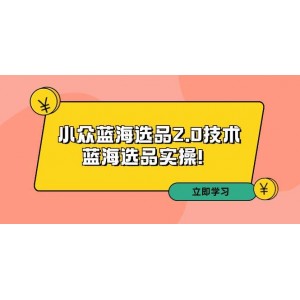 拼多多第33期培訓(xùn)：深入探索小眾藍海選品2.0策略——實操藍海選品技巧！