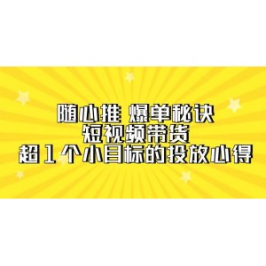 隨心推爆單寶典：短視頻帶貨秘訣，突破千萬銷售額的投放經(jīng)驗(yàn)分享（含7節(jié)視頻課程）