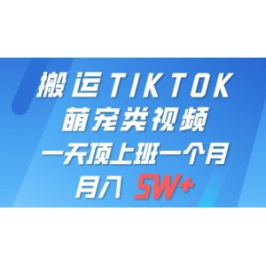 輕松實現(xiàn)TIKTOK萌寵視頻一鍵遷移，單部手機(jī)即可掌控，全平臺自由發(fā)布，月賺5W+不是夢！